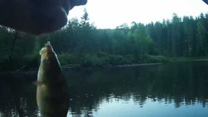 Рыбалка на речке на поплавок.