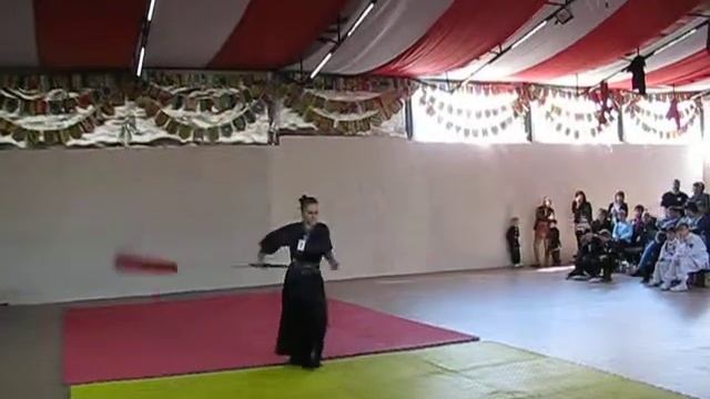 тайцзицюань 50 форм , меч, эмей смотреть онлайн