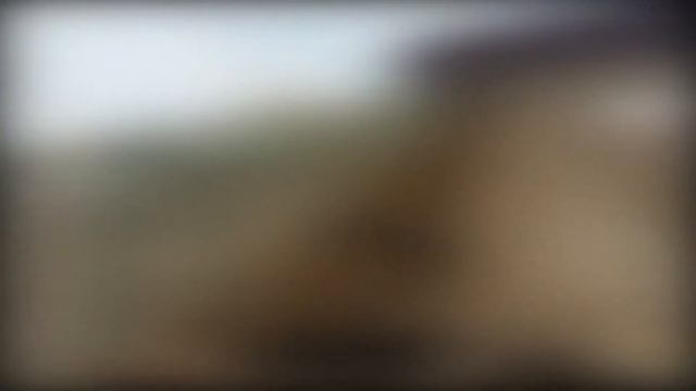 Республиканская научно – практическая конференция «Что, как и почему – разберусь и объясню» смотреть онлайн