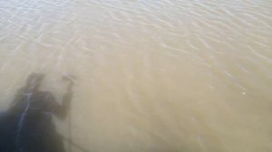 ловля карпа на легкую маховую удочку