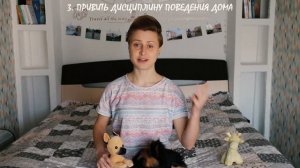 Как воспитывать щенка? О чем необходимо позаботиться в первые месяцы жизни йоркширского терьера
