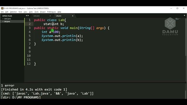 Java STATIC &  NON STATIC Variable Initialize | JAVA Basic Programs | Core Java Programs with Outpu