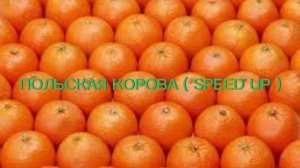 Польская корова (speed up)