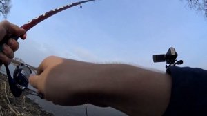Попал на весенний клев на поплавок. Поклевки крупным планом. Ловя густеры, уклейки, красноперки 202