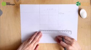 Мастер-класс «Рисуем колокольный улей!»