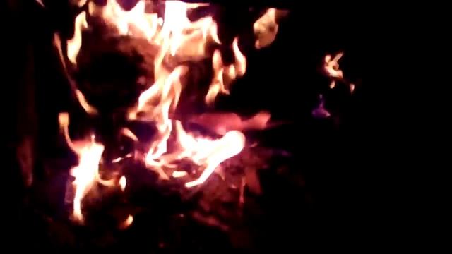 Топка для варки субстрата вешенки смотреть онлайн