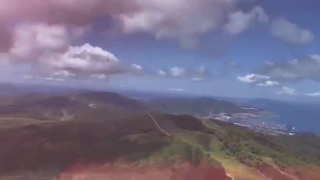 Буктейлер к стихотворению А. Болонского "В лесу" смотреть онлайн