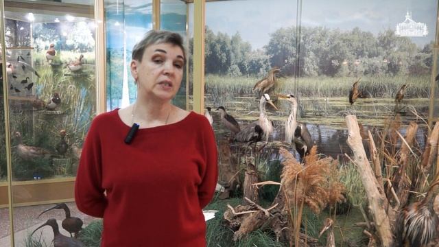 Орнитологическая коллекция Азовского музея-заповедника