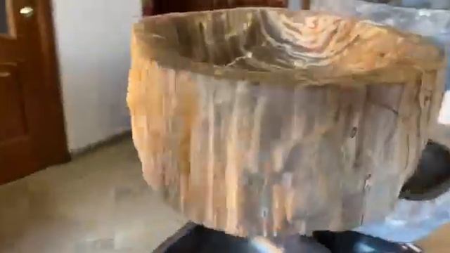 Раковина из окаменелого дерева 55х41х15 см K4-OD-7