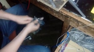 Пытаемся осаждать олово на медной пластине эл-ом