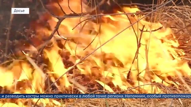 Особый противопожарный режим в северных районах Иркутской области сняли лишь под конец лета смотреть онлайн