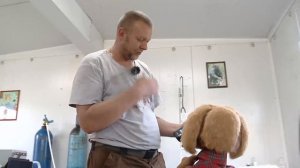 Почемучка - Как лечат животных на дальнем Востоке - С добрым утром, малыши!