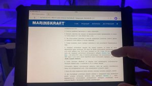 100%-ое средство от цианобактерий в морском аквариуме | День 1