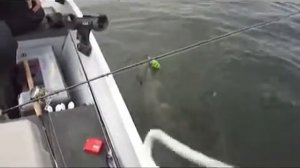 Как ловить щуку, ловля щуки на воблер, ДЛИНА 95 см