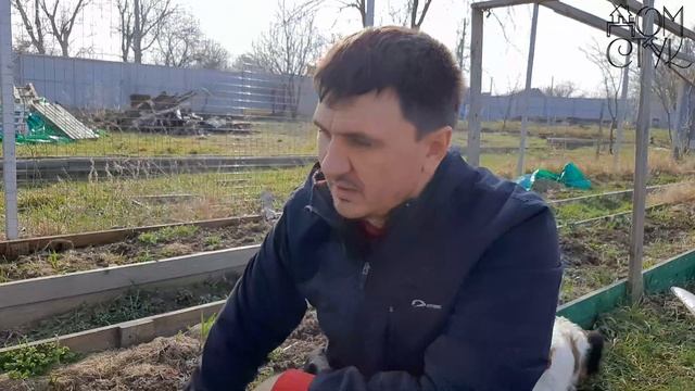 Оцинкованные грядки: первое впечатление смотреть онлайн