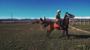 Фонд сохранения и Развития Кабардинской породы лошадей