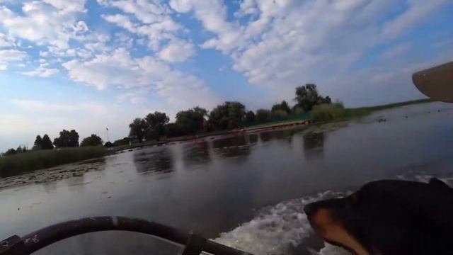 Страхолесье