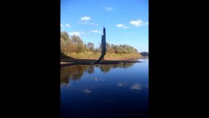 Megabass Dog X Jr Coayu