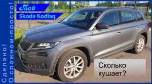 Это рекорд прожорливости? Расход топлива Skoda Kodiaq. Сколько кушает этот монстр?