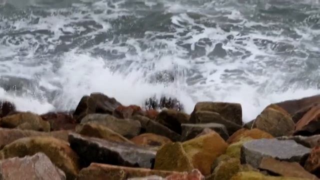 9/10 Scooter Edit Nikon 1 j5 смотреть онлайн