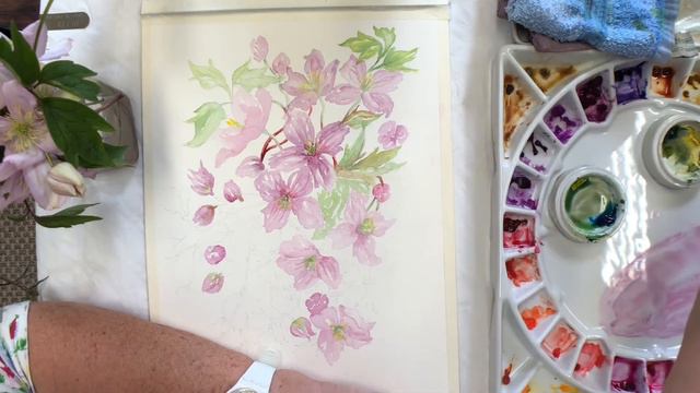 Clematis Part 2 смотреть онлайн