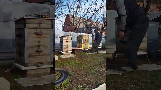 Устройство для подъема ульев