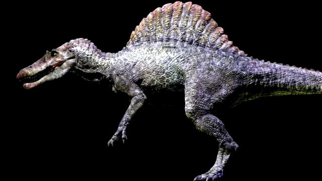 5 САМЫХ БОЛЬШИХ ХИЩНЫХ ДИНОЗАВРОВ смотреть онлайн