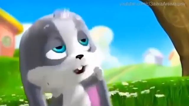 Поздравления зайки с днём матери смотреть онлайн