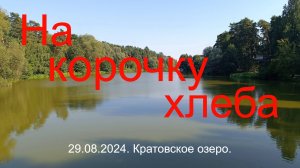 На корочку хлеба. Кратовское озеро. 29.08.2024.