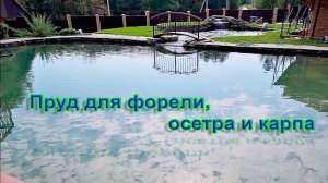 Пруд для форели, осетра и карпа