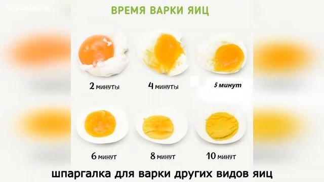 Как сварить яйца вкрутую.