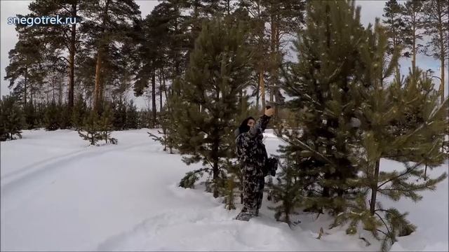 Программа "Мотосвидание". Прокат снегоходов и квадроциклов "Снеготрек".