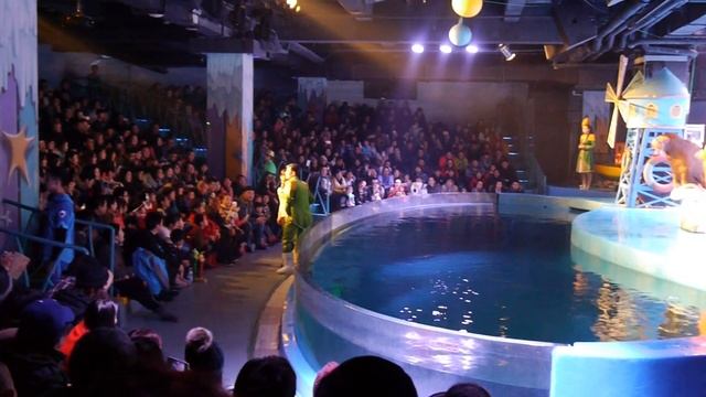 Шоу в полярном океанариуме г.Харбин смотреть онлайн