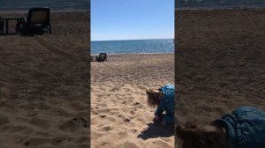 Турция 21 марта . Дичь Турция отношение к Русским в Турции