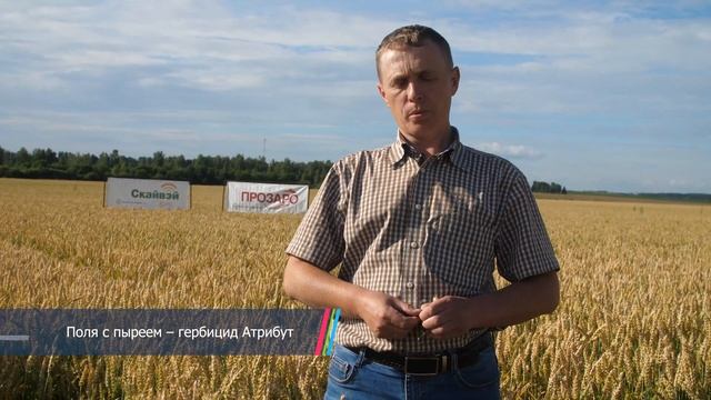 "Поле покажет ВСЁ!" Технология возделывания и защиты озимой пшеницы в фермерском хозяйстве "Диана".