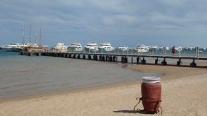 Albatros White Beach 5 Хургада. Обзор отеля