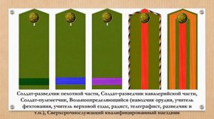 Интересные погоны армии Российской империи
