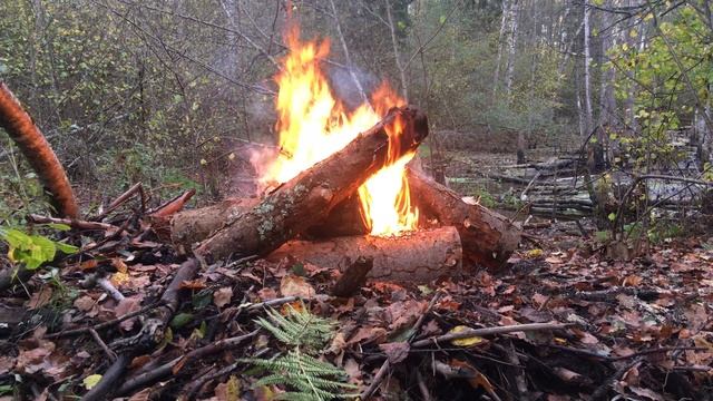 4k Горит костёр v2. Камин для телевизора. Звуки огня. смотреть онлайн