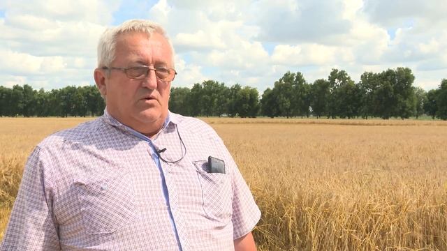 Уборочная - 2023. В ОАО "Горняк" перешагнули рубеж в тысячу тонн зерна смотреть онлайн