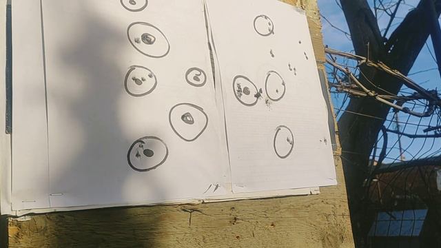 Хатсан 125 стрельба по мухам,!! смотреть онлайн