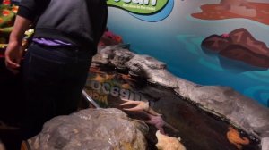 Shedd Aquarium Chicago