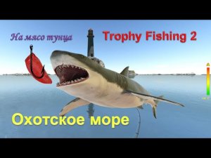 Охотское море в игре Trophy Fishing 2, отловился на мясо тунца