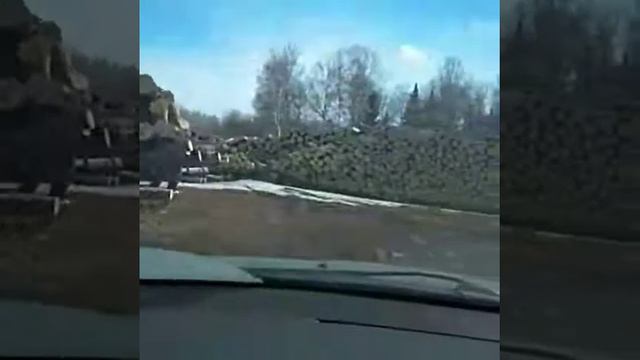 Как китайцы лес пилят смотреть онлайн