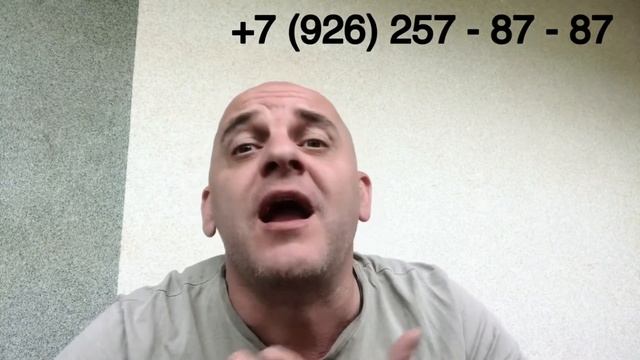 PetsCar - зоотакси в Москве. Перевозка животных по России смотреть онлайн