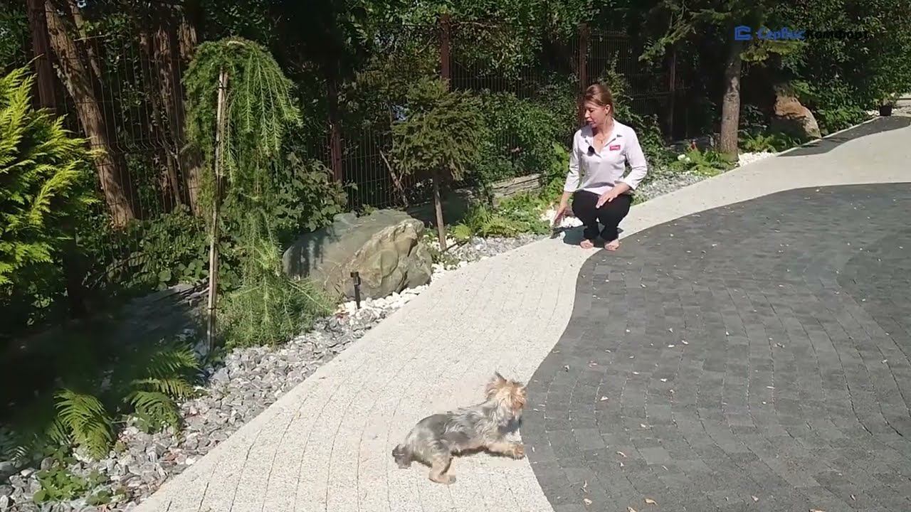 Двор с тротуарной плиткой Выбор-С