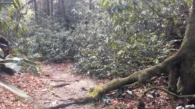 February 1st's A Garden in Every Season Tour смотреть онлайн