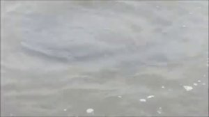 Тайна Азовского моря