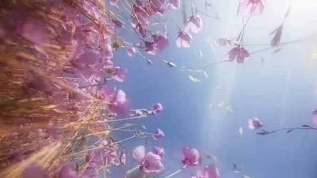 Шри Рамана Махарши Кто я смотреть онлайн