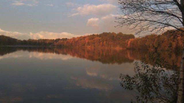 Egil Hovland Agnus Dei for Bassoon and Choir, 4: Dona Nobis Pacem смотреть онлайн