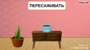 Занятие для детей средней группы "Комнатные растения"